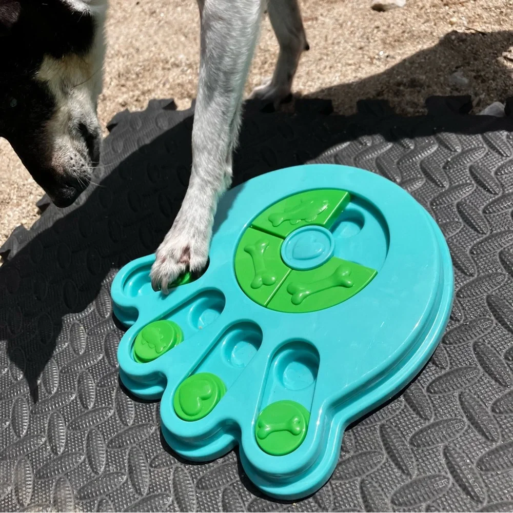 Dog Puzzle Paw Print Pet Toy, Hide & Seek the Treats Game, Puppy Cat Guinea Pig